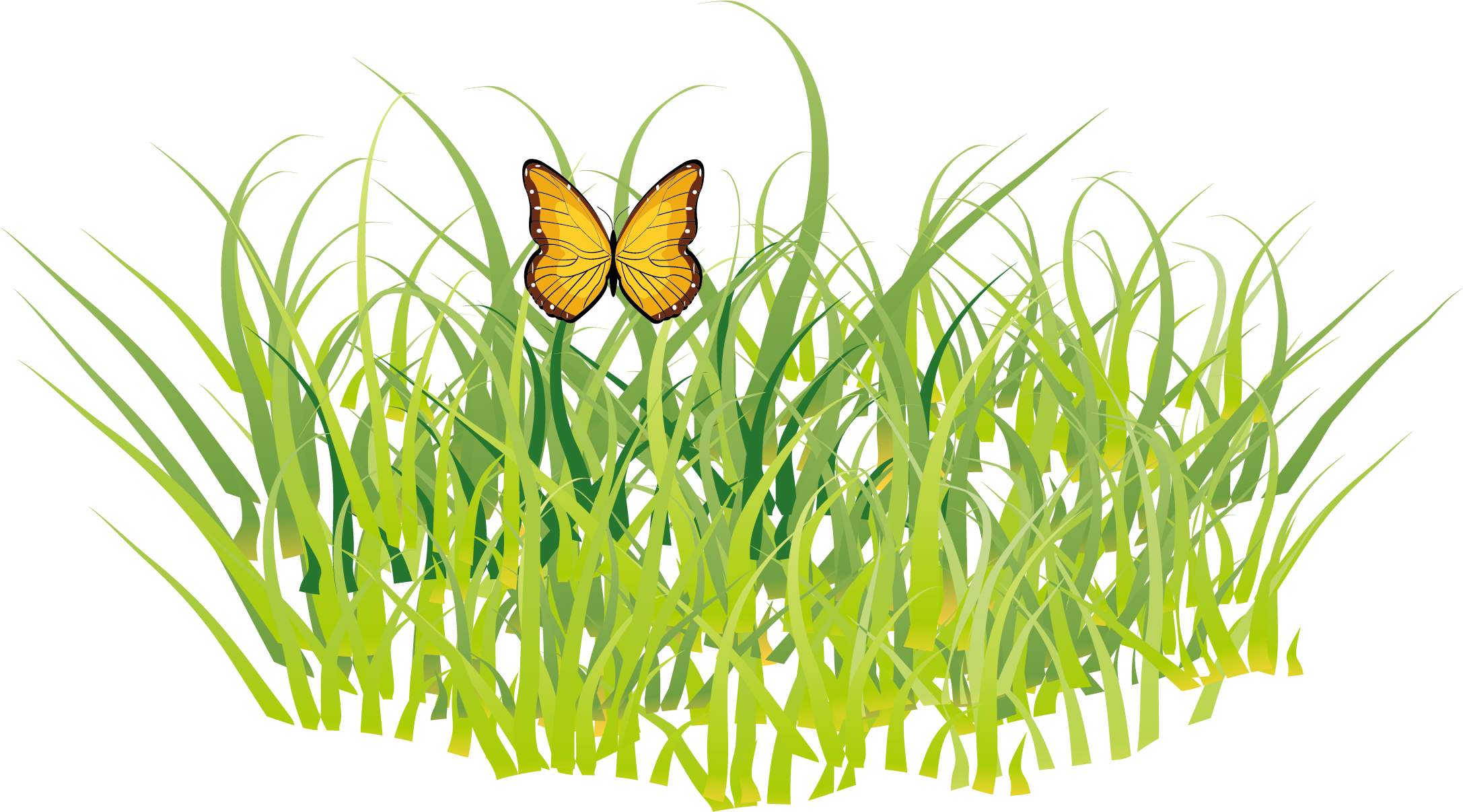 Butterfly Grass Gis - Golf Ball Clipart Transparent Background (2174x1207), Png Download
