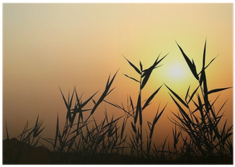 Grass Silhouette (400x400), Png Download