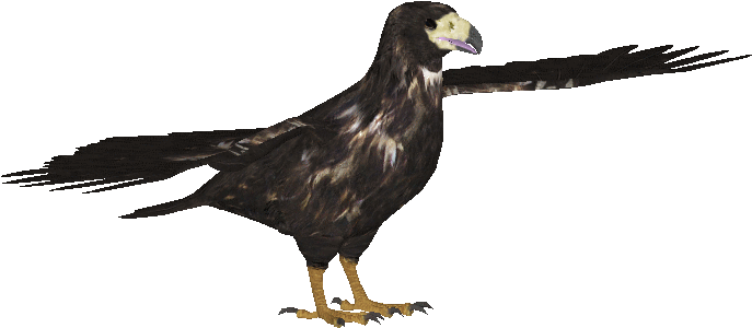 Spanishimperialeaglecj - Spanish Imperial Eagle Picture Transparent Real (694x694), Png Download