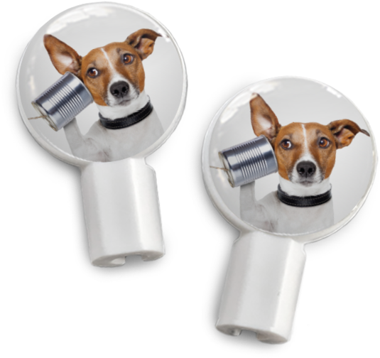 Pair Of Apple Earbud Covers - Comprendere Il Pensiero Dei Cani. Cosa Pensa Il Miglior (560x560), Png Download