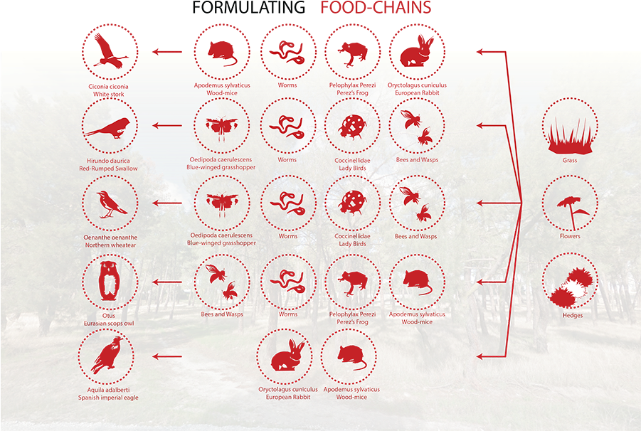 El Camino De Nava De La Asunción - Colorfulness (900x636), Png Download