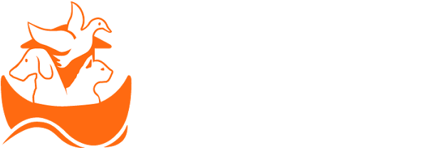 Ark Veterinary Hospital - Happy Anniversary Lol (635x250), Png Download
