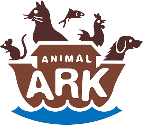 Ark (460x402), Png Download