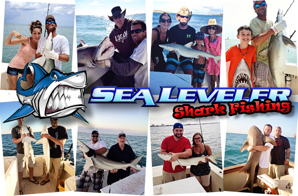 Florida Shark Fishing Experience - Florida Cocoa Beach Shark Fishing (594x390), Png Download