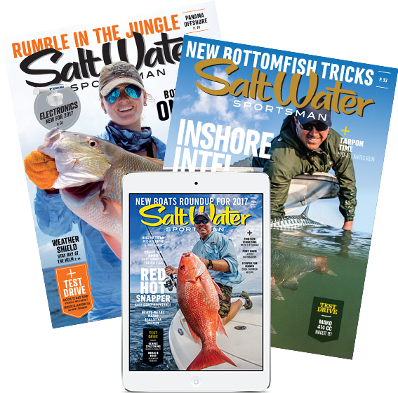 Subscribe To Salt Water Sportsman - Pull Fish Out Of Water (600x593), Png Download
