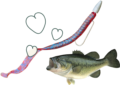 Lures And Tackle - Mystery Tackle Box (540x300), Png Download