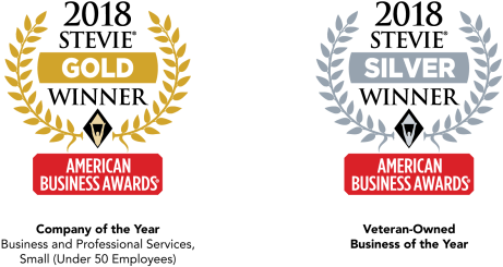 Reveille Group Honored With Two Accolades In 2018 American - Stevie International Business Awards 2018 (640x250), Png Download
