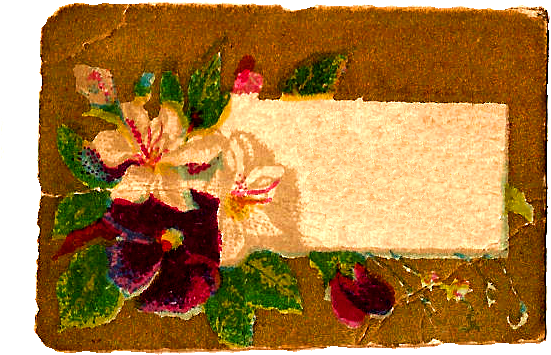 Digital Flower Label - Artificial Flower (584x415), Png Download