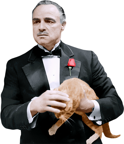 Image Result For The Godfather Png - Godfather Png (507x563), Png Download
