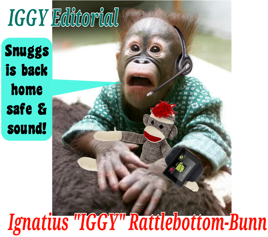 Image - Funny Ape (895x768), Png Download