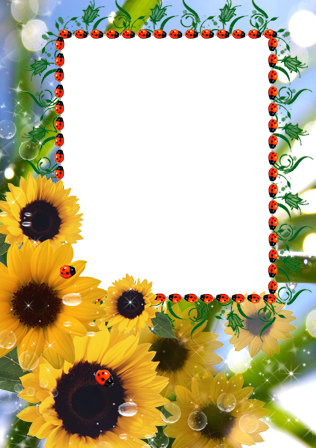 Girasoles Para Usted - Marcos Para Fotos De Girasoles (316x448), Png Download