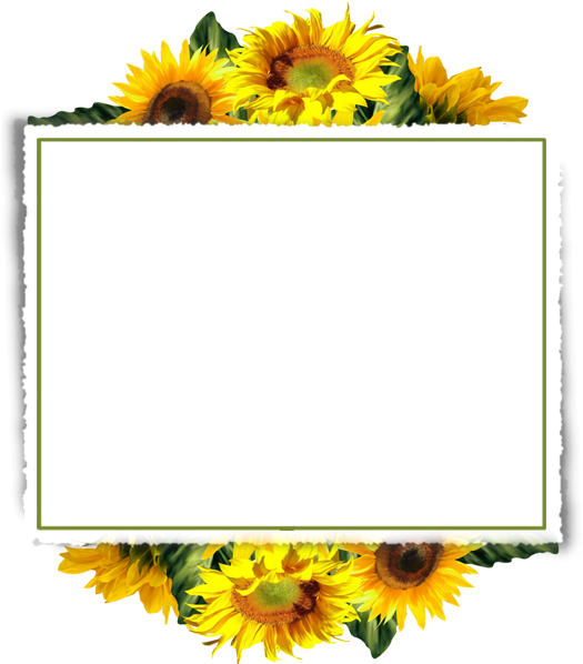 Sunflower Border Design Png (600x600), Png Download