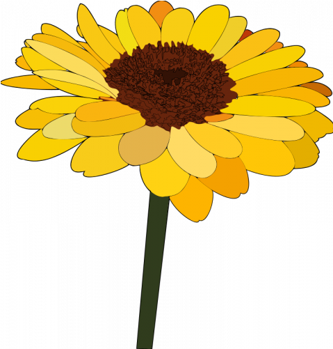 Sunflower Cartoon (510x510), Png Download