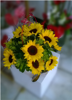 Re-08 Arreglo Redondo De Girasoles - Bouquet (574x340), Png Download