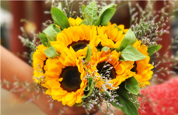 Sunflower Weddings (1000x400), Png Download