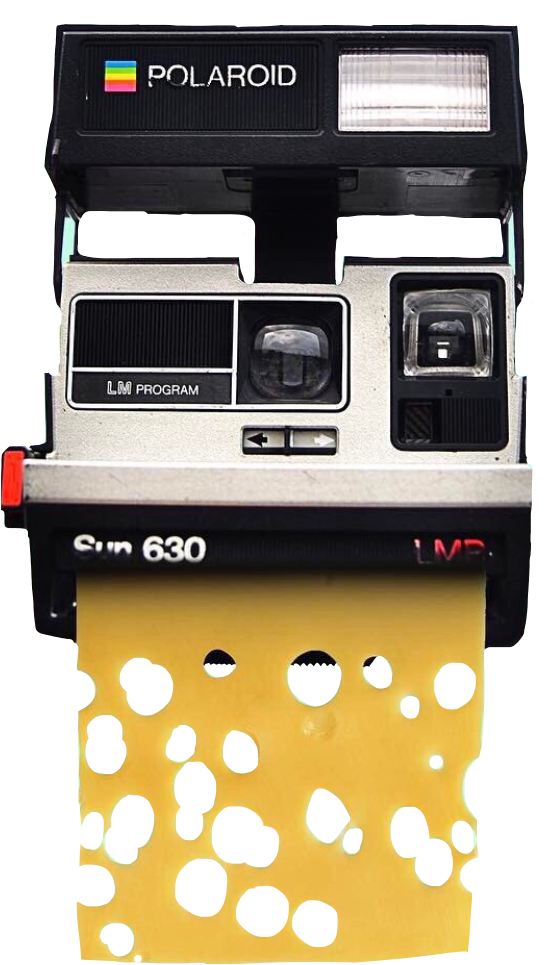 Polaroid Sticker - Camera (546x965), Png Download