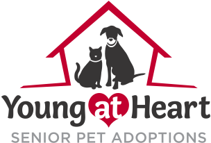 Young At Heart Pet Rescue Young At Heart Pet Rescue - Young At Heart Pet Rescue (304x206), Png Download