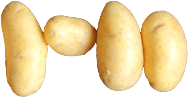 1 Bag - Strip Steak (640x640), Png Download