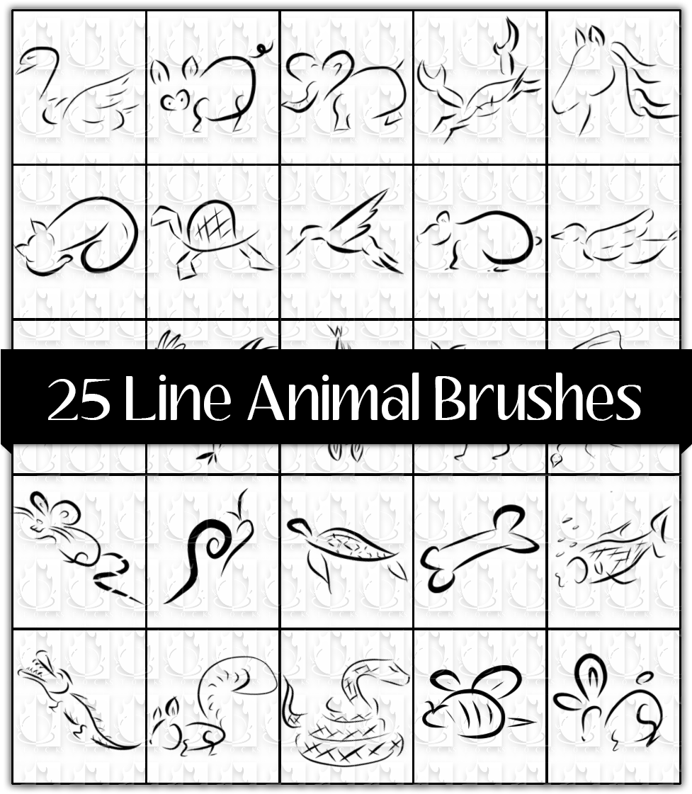 25 Cute Line Animals Photoshop Brush Pack - Drawing (1000x1160), Png Download