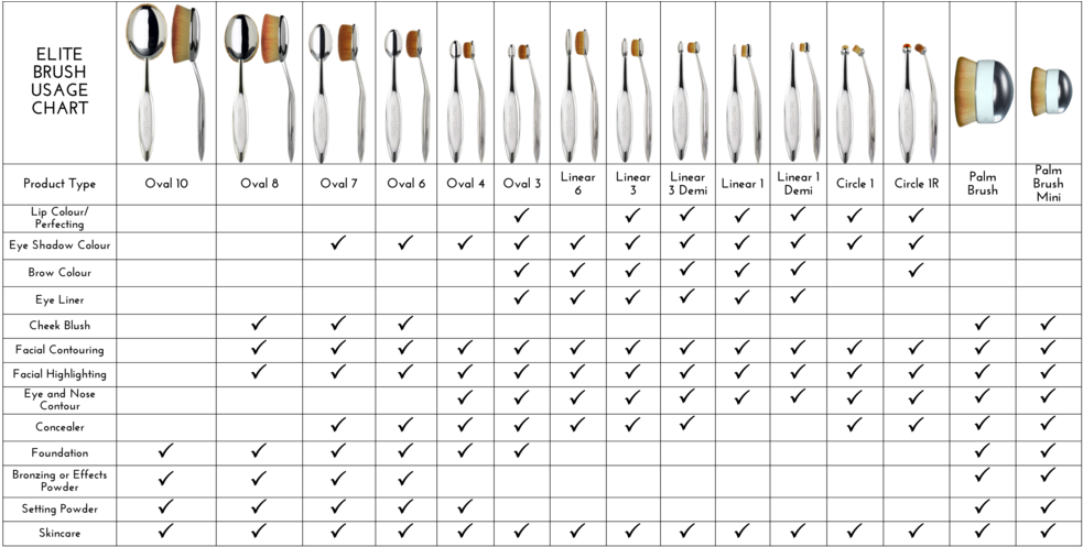 Artis Brush And Product Usage Table For Website 3 28 - Artis Palm Brush (1000x575), Png Download