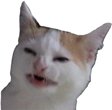 Cat Thonk - Cat No Like Banana (375x377), Png Download