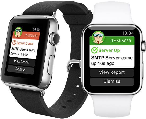 It Manager Apple Watch Notifications - Apple Watch 2 Whatsapp (618x504), Png Download