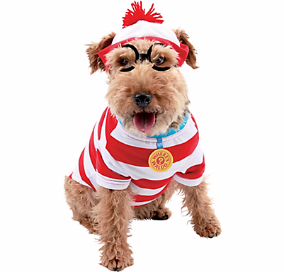 Halloween Costume - Dog Costume (400x544), Png Download