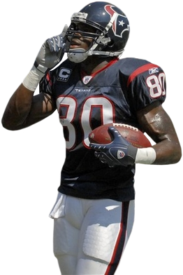 Look No Further Than Houston Texans Superstar Andre - Andre Johnson Texans Png (305x409), Png Download