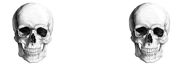 Selena Loved Collecting Faberge Egg For Her Collection - Through The Eyes Of The Skull (626x227), Png Download