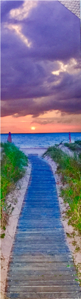 Walkway Panoramic Print - Printing (1000x1000), Png Download