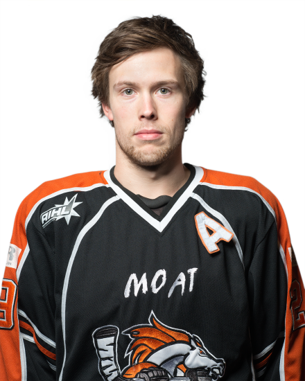 Brendan Mcdowell - Melbourne Mustangs (440x550), Png Download