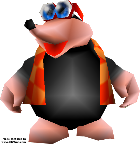 Banjo-kazooie - Bottles From Banjo Kazooie (573x591), Png Download