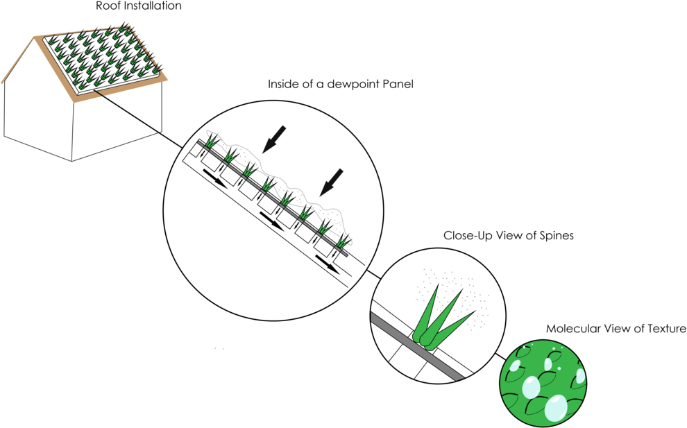 Diagramfinal - Fog Catcher Design (1000x625), Png Download
