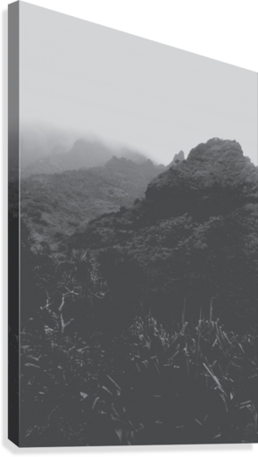 Mountain In The Forest With Foggy Sky In Black And - Monochrome (289x511), Png Download