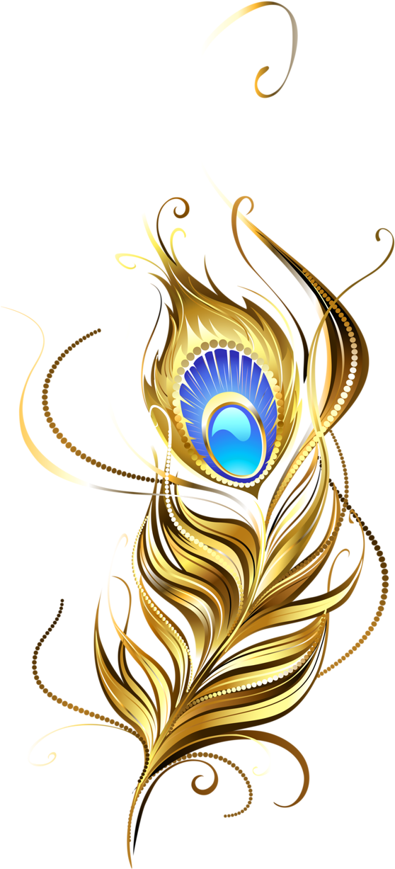 Фото, Автор Soloveika На Яндекс - Feather (563x1280), Png Download