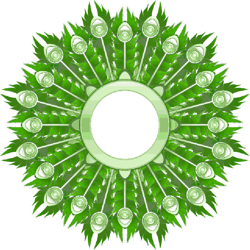 Mb Image/png - Feather (800x800), Png Download