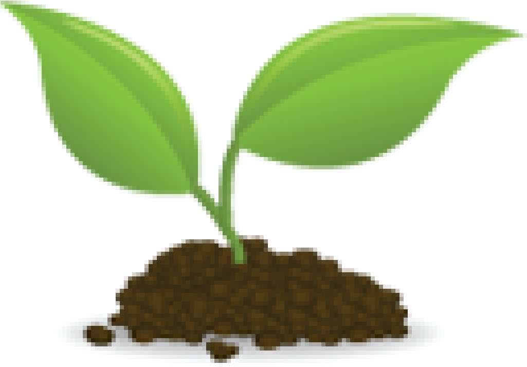 Seedling Sprouting Clip Art - Seedling Clipart Free (1024x1024), Png Download