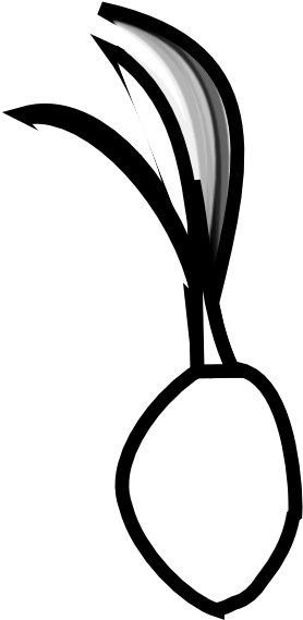 Seed - Coconut Seed Clip Art Black And White (999x749), Png Download