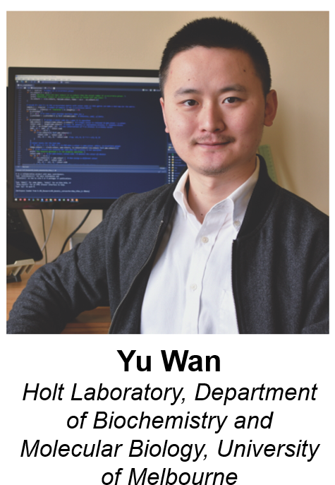 Event Flyer - Photo Caption (481x714), Png Download