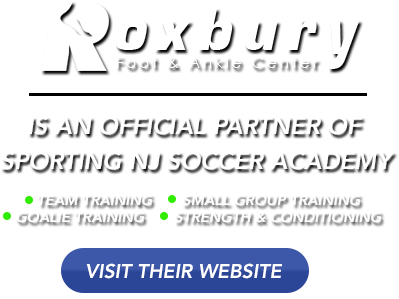 Nj Soccer Call Out - University Of Ibadan (409x332), Png Download