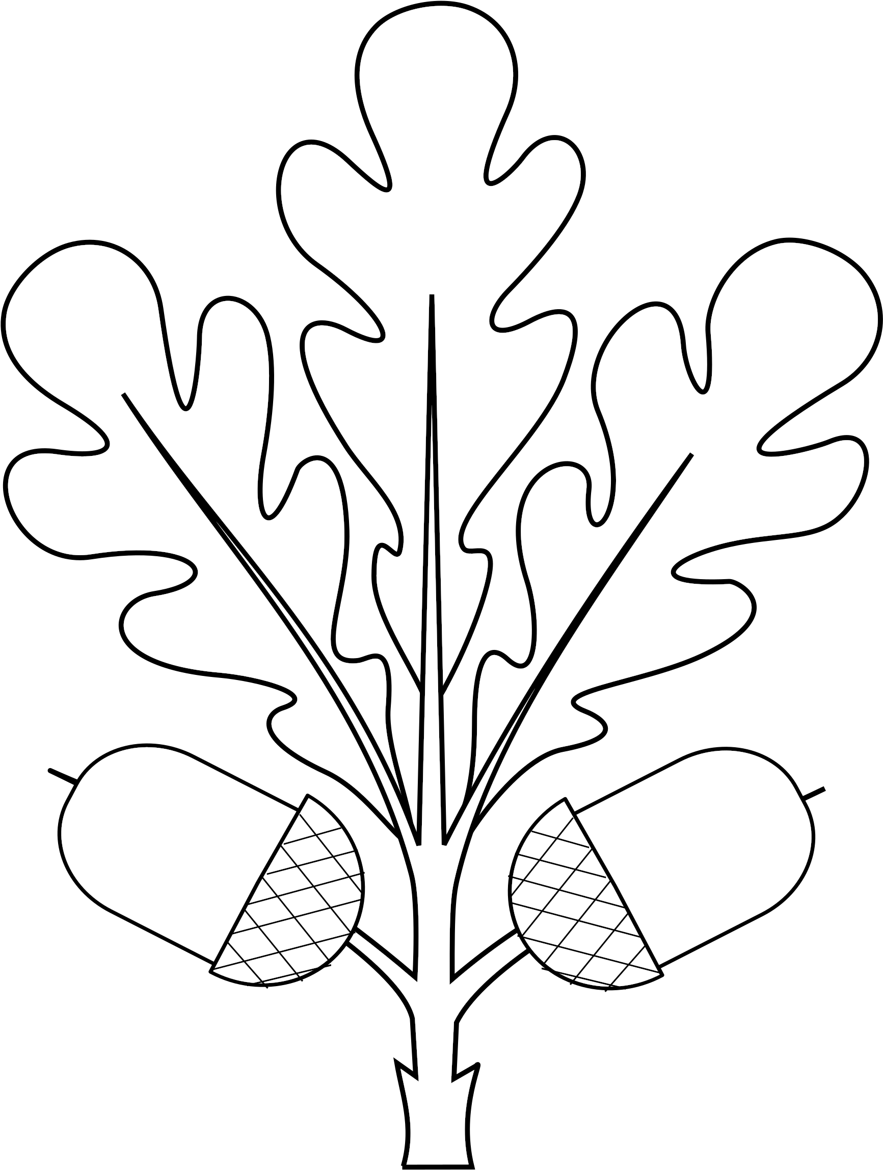 Open - Oak Leafs Svg (2000x2531), Png Download