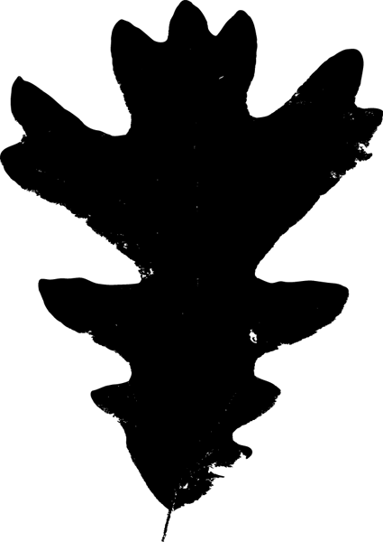 Oakleaf - White Oak Leaf (425x600), Png Download