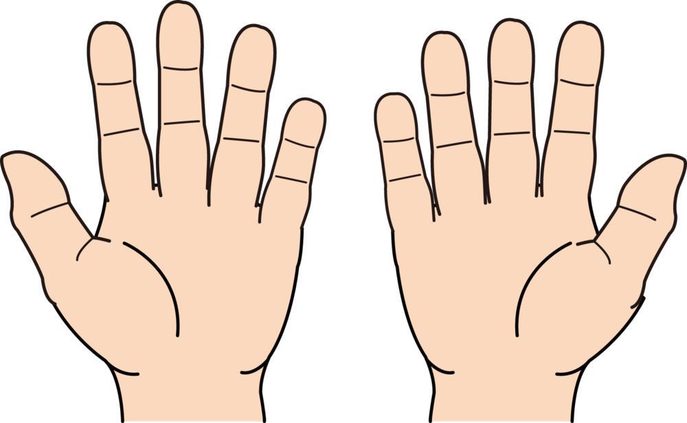 Palm Line - Hand (1000x616), Png Download