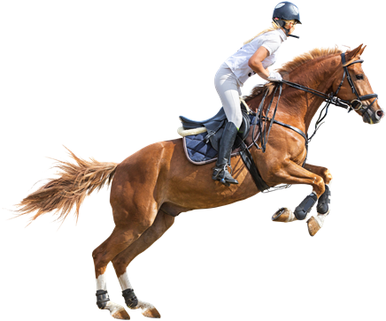 Man Riding Horse Png Full Size Png Download Seekpng