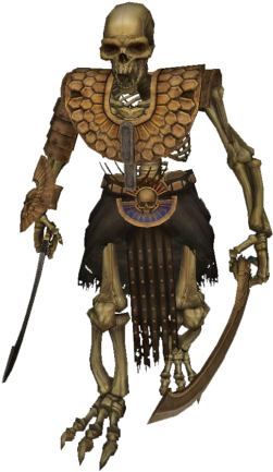 In Ancient Times, Before The Rise Of The Mortuary Cult, - Tomb King Mortuary Cult (620x496), Png Download