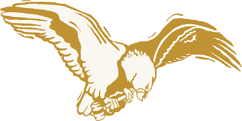 Mb Image/png - Gold Eagle Png (800x400), Png Download