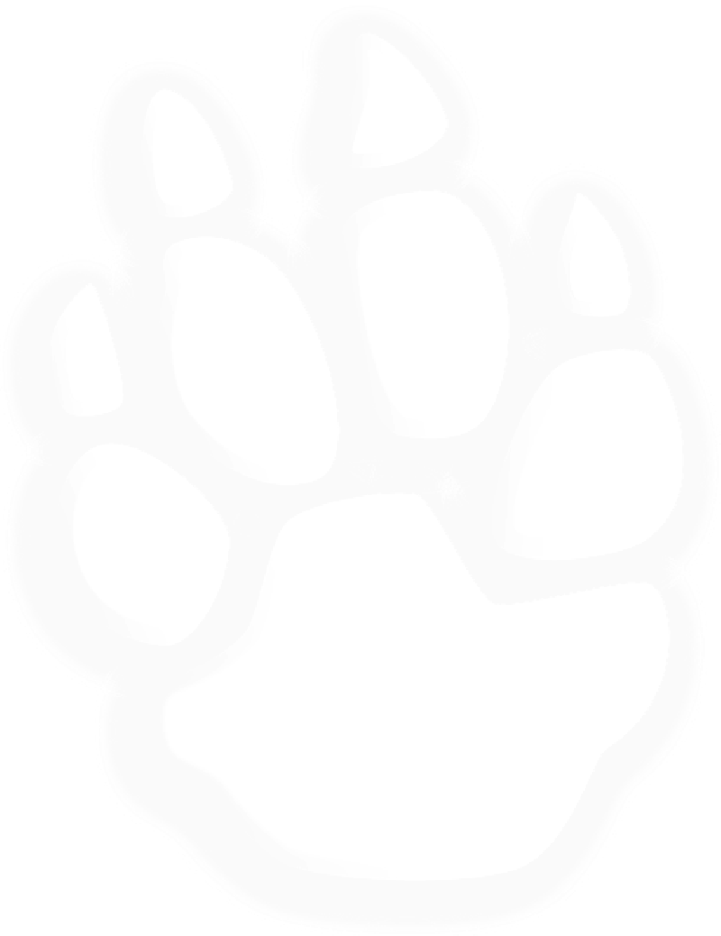 Mb Image/png - Circle (800x1038), Png Download