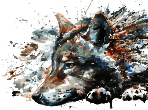 Pink Colorful Wolf Illustration - Illustration (517x382), Png Download