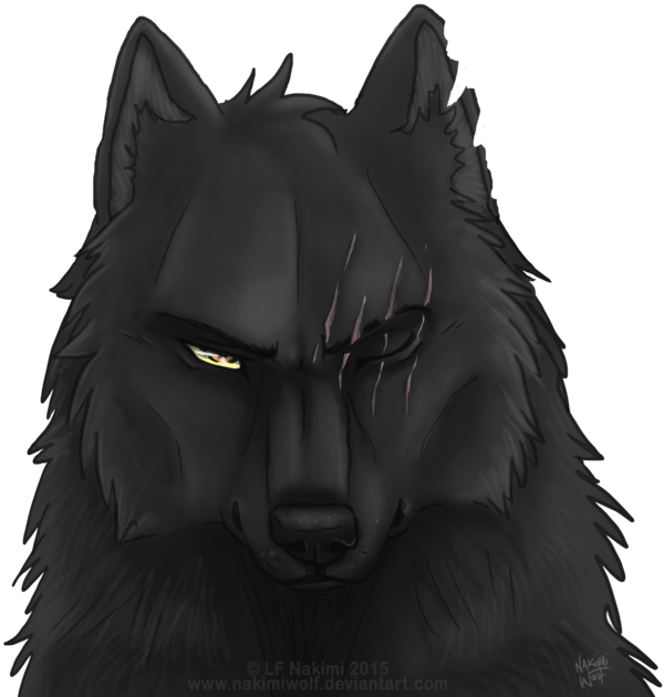 Black Wolf Aaron By Nakssxsimiwolf-d9b8m19 - Black Wolf Drawing (600x630), Png Download