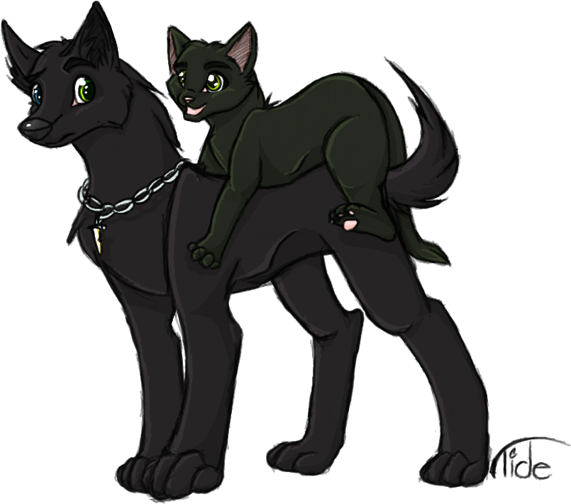 Drawn Black Cat Black Wolf - Black Cat (813x714), Png Download